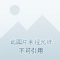平面素材-54款中文简繁字体打包下载 328M(3)