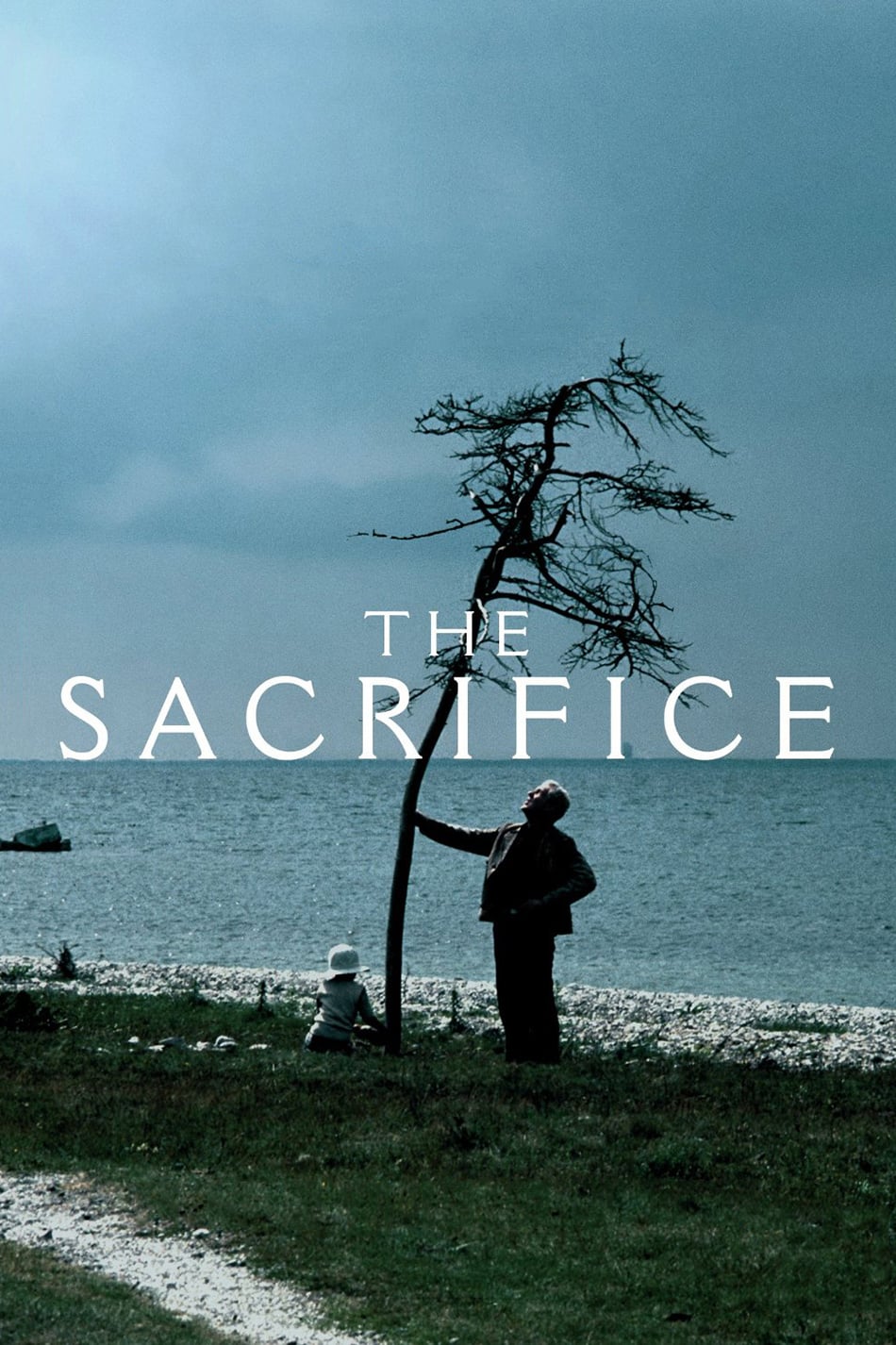 牺牲 蓝光原盘下载+高清MKV版/Le sacrifice / The Sacrifice 1986 Offret 30.3G