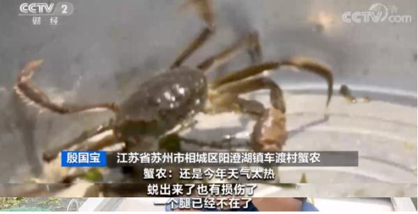 国人最爱的阳澄湖大闸蟹因持续高温产量减少：价格也要涨 还吃吗？