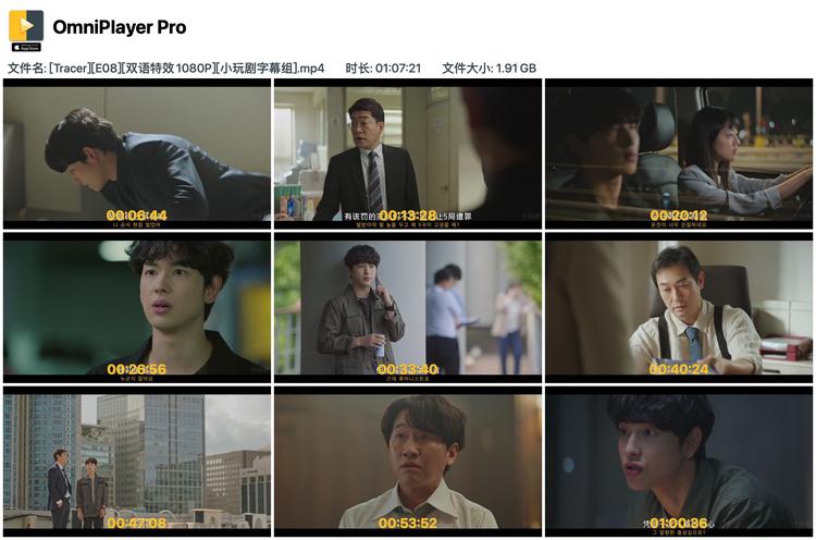 豆瓣高分韩剧《追踪者》两季全 1080P 分享的图片-高老四博客