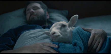 羊崽电影里的羊到底是什么