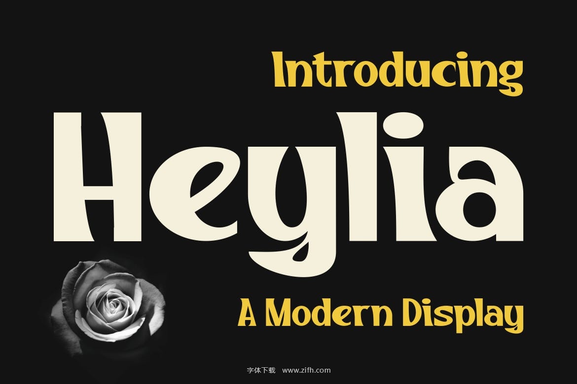 Heylia-A Modern Display Font