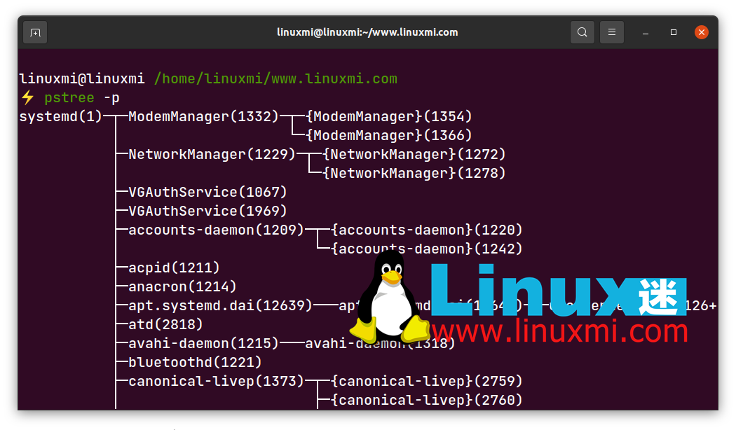 在 Linux 中如何查找父进程 PPID？在 Linux 中如何查找父进程 PPID？