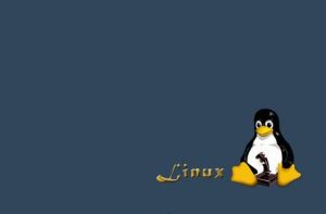 U盘安装Ubuntu Linux物理机U盘安装Ubuntu Linux物理机