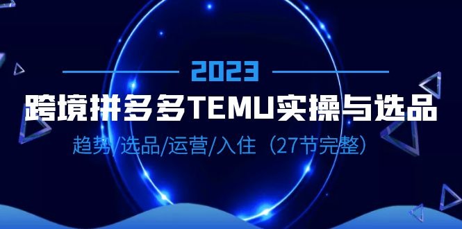 2023跨境拼多多TEMU实操与选品，趋势选品运营全解析（27节完整）-阿文随笔
