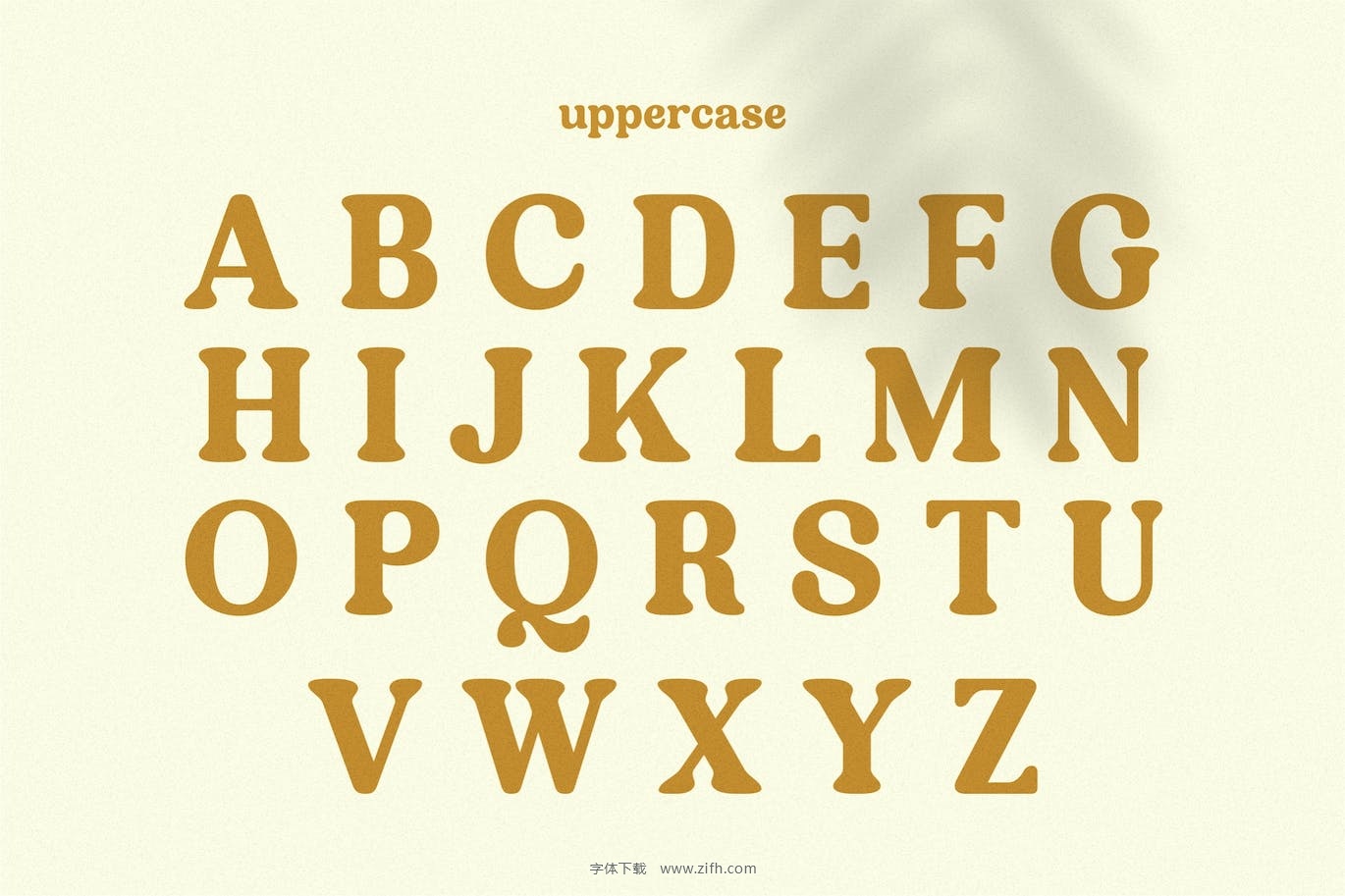 Degalena – A Modern Vintage Serif Font-11.jpg