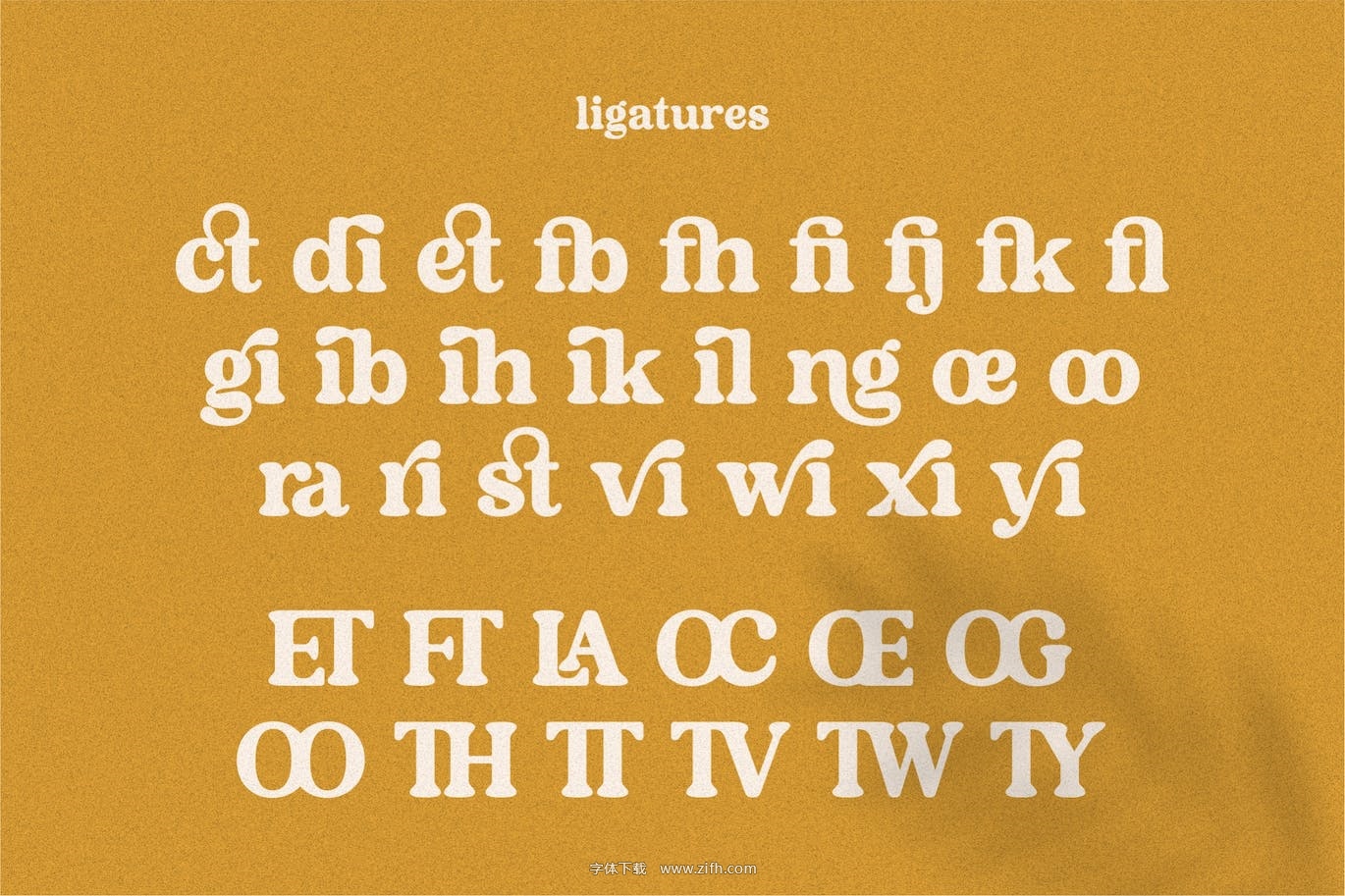 Degalena – A Modern Vintage Serif Font-16.jpg