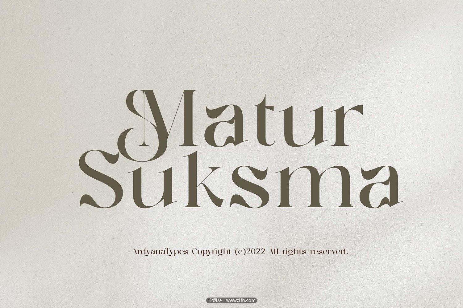 Negaroa – Aesthetic Serif Font-8.jpg