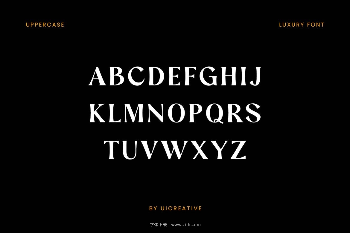 Valenzka Vintage Serif Font-8.jpg