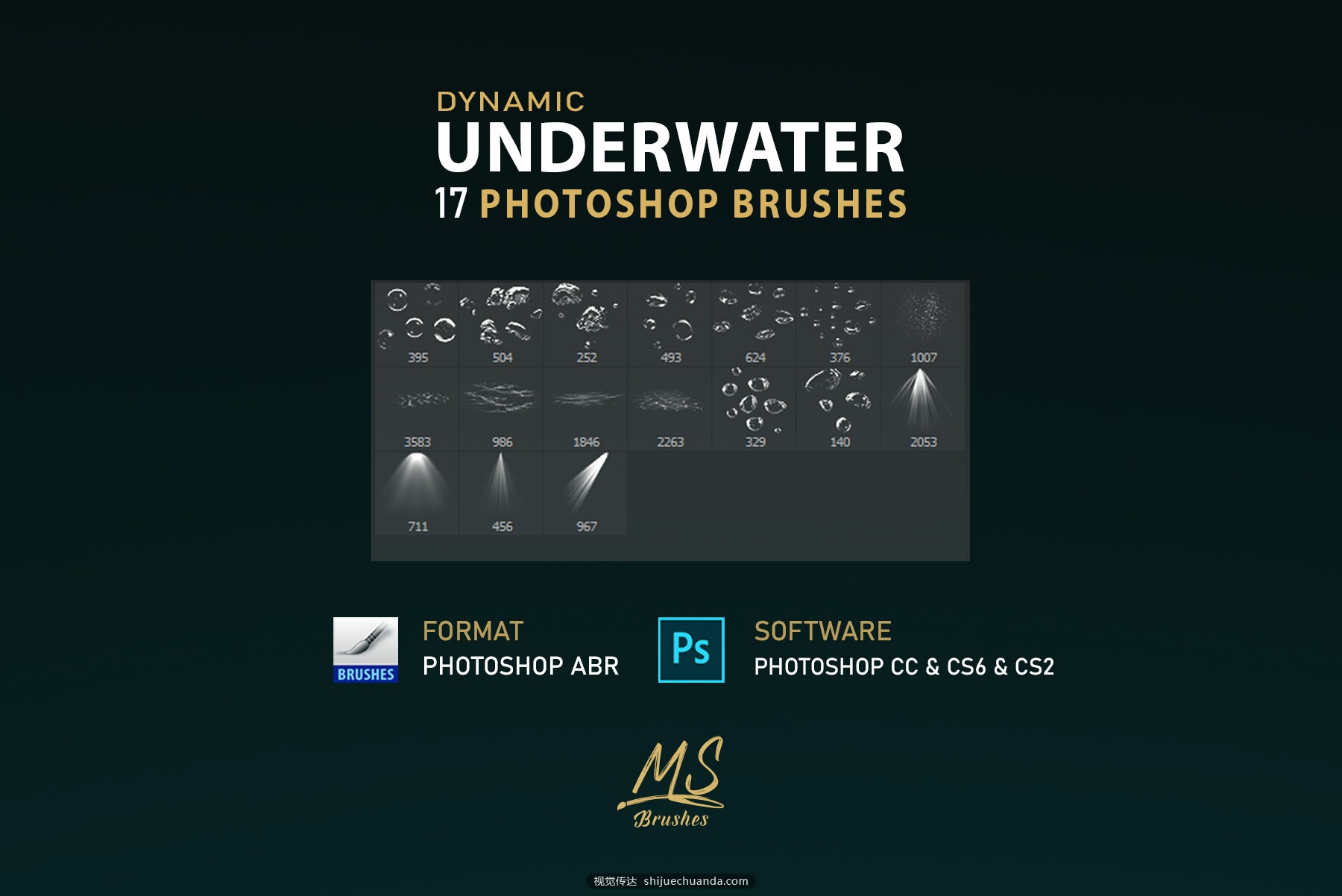 Underwater Photoshop Brushes-3.jpg