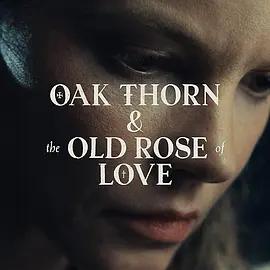 橡木荆与爱情的老玫瑰