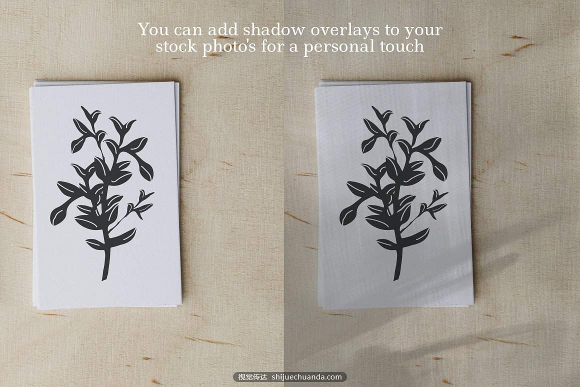 Natural Shadow Overlays-5.jpg